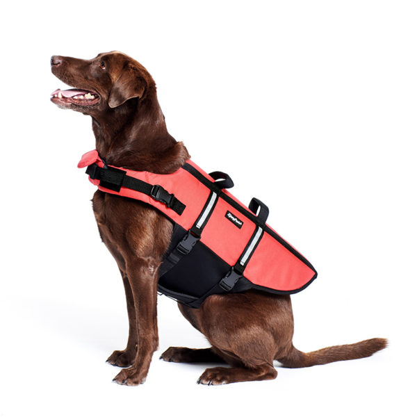 Adventure Life Jacket - Red Image Preview 1