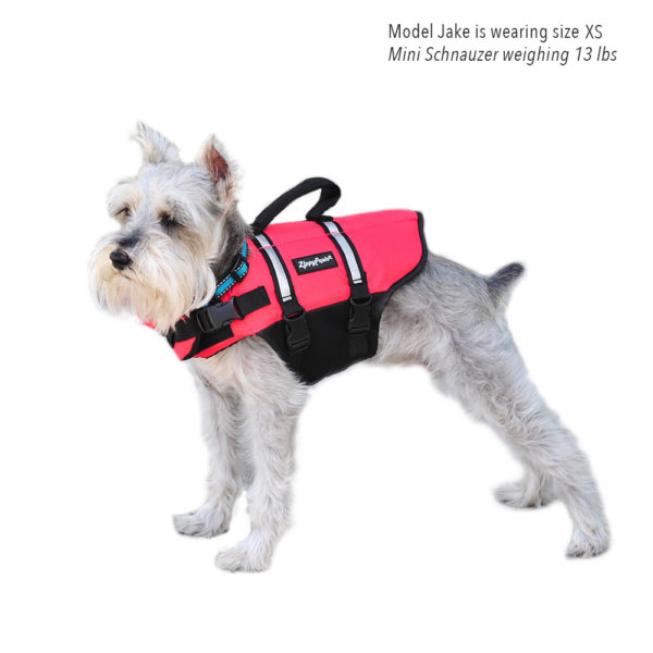 Adventure Life Jacket - Red Image Preview 5